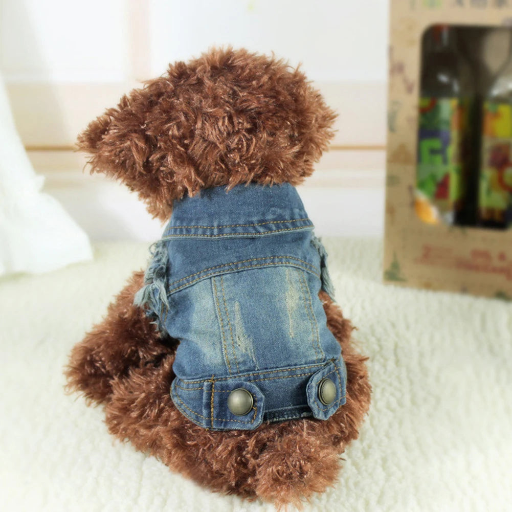 Spring Denim Dog Vest Shih Tzu Clothes for Small Dogs Yorkshire Terrier Puppy Jeans Jacket for Chihuahua Apparel Cat Clothes