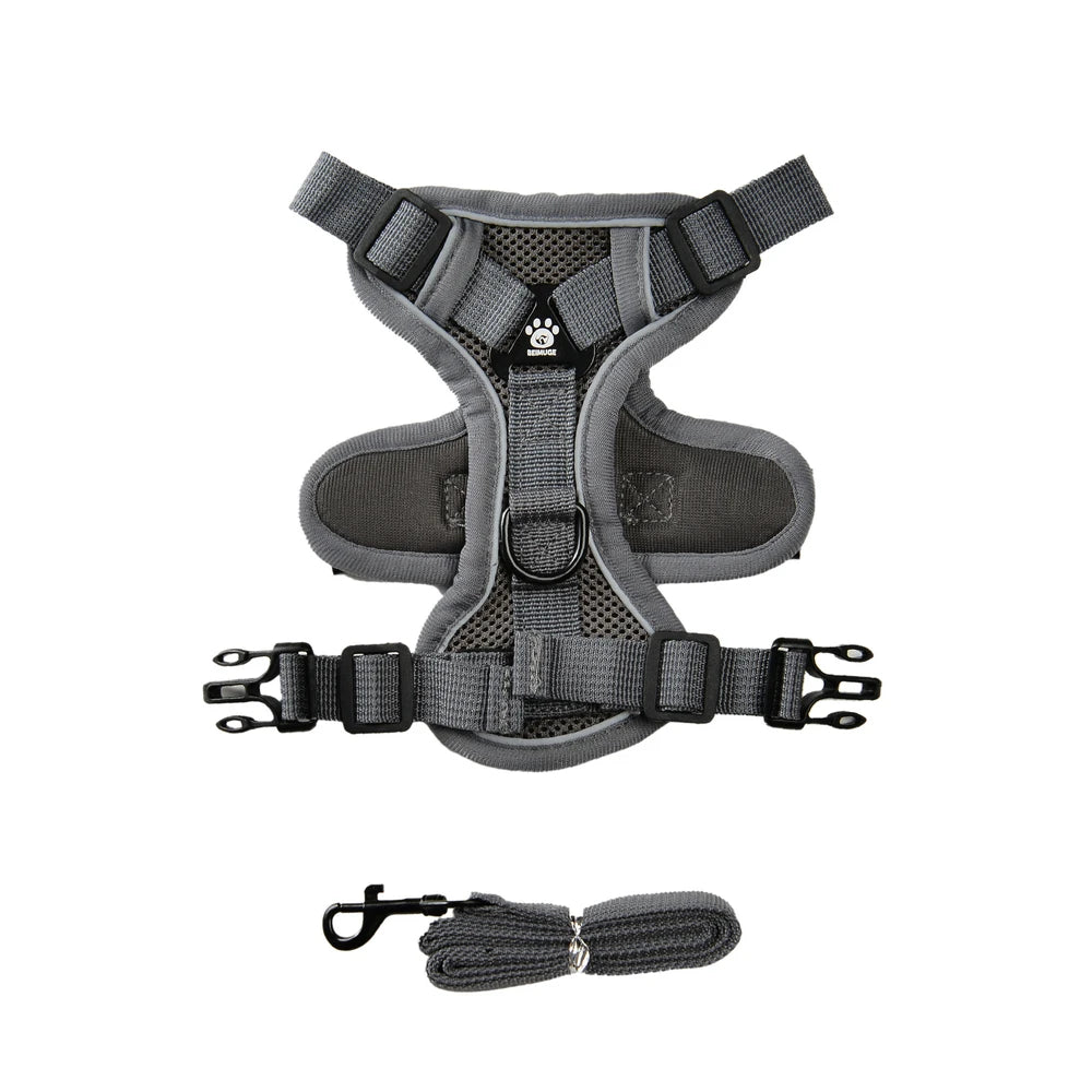 Pet Harness and Leash Set Reflective Walking Puppy Vest Chest Strap For Small Dogs Cats Breathable Outdoor Harnesses With D-Ring