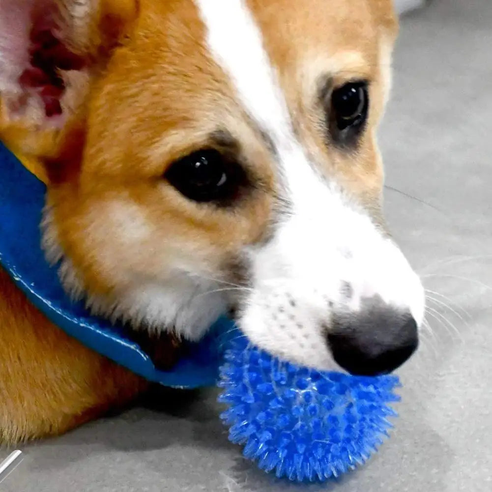 Pet Toy TPR Sound From Hi Toy Ball Dog Bite Resistant Elastic Prick Ball Medium Large Dog Toy